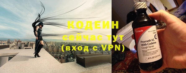 молекула духа Каменка