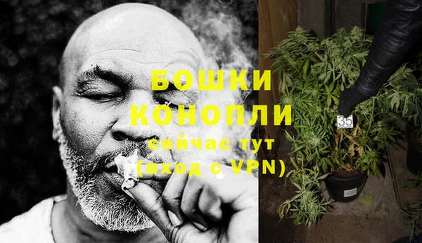 молекула духа Каменка