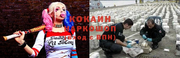 амф Инта