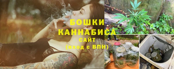 молекула духа Каменка