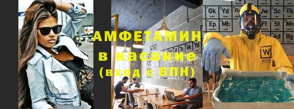 молекула духа Каменка