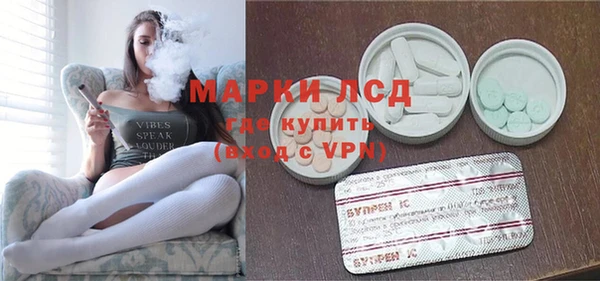 молекула духа Каменка