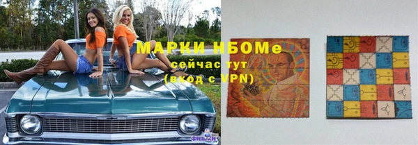 молекула духа Каменка
