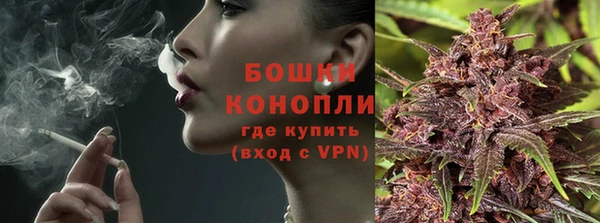 молекула духа Каменка