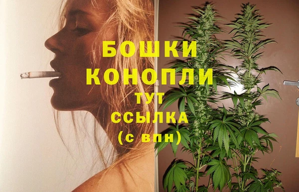PSILOCYBIN Каменск-Шахтинский