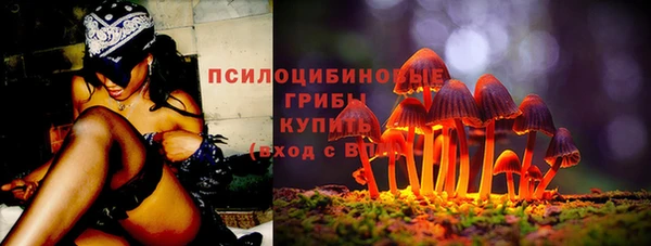 PSILOCYBIN Каменск-Шахтинский