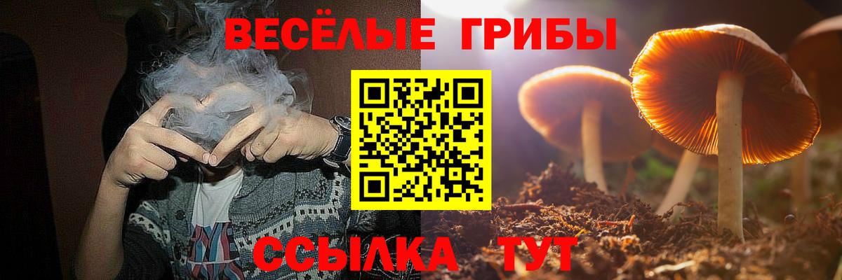 Псилоцибиновые грибы мицелий  Псилоцибиновые грибы Psilocybine cubensis  Осинники  Вход с VPN 