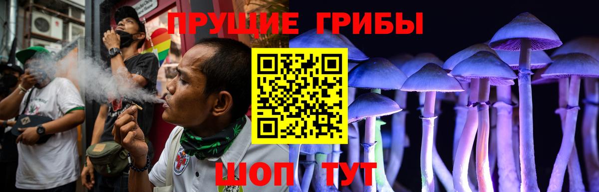 Осинники  Галлюциногенные грибы Psilocybine cubensis  Псилоцибиновые грибы Magic Shrooms  Вход с VPN 